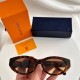 LV SUNGLASSES LV SUNGLASSES