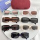 Gucci SUNGLASSES Gucci SUNGLASSES