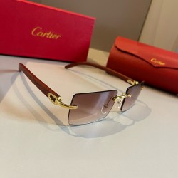 Cartier Sunglasses