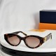 LV SUNGLASSES