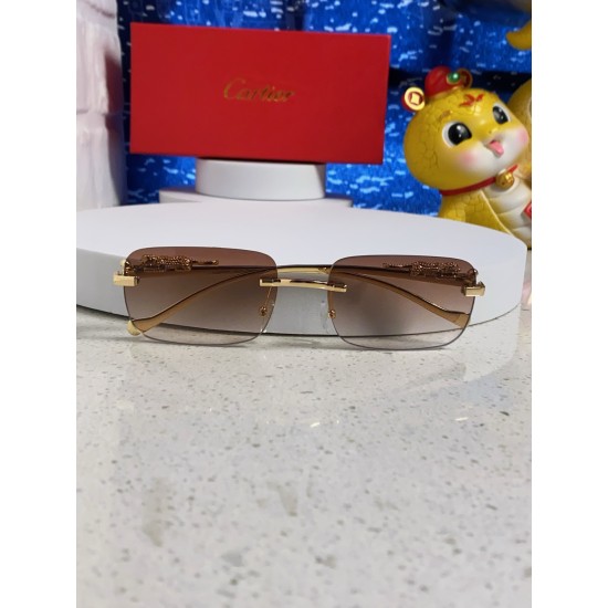 Cartier Sunglasses