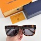 LV SUNGLASSES LV SUNGLASSES