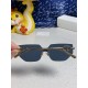 Dior SUNGLASSES