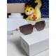 Dior SUNGLASSES