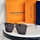 LV SUNGLASSES LV SUNGLASSES