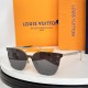 LV SUNGLASSES LV SUNGLASSES