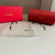 Cartier Sunglasses