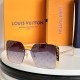 LV SUNGLASSES LV SUNGLASSES
