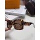 LV SUNGLASSES LV SUNGLASSES