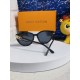 LV SUNGLASSES LV SUNGLASSES