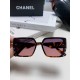 CHANEL SUNGLASSES CHANEL SUNGLASSES