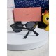 MiuMiu Sunglasses