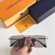 LV SUNGLASSES LV SUNGLASSES