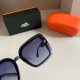 Hermes Sunglasses