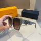 LV SUNGLASSES LV SUNGLASSES