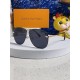 LV SUNGLASSES LV SUNGLASSES
