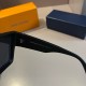 LV SUNGLASSES LV SUNGLASSES
