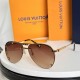LV SUNGLASSES LV SUNGLASSES