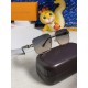 LV SUNGLASSES LV SUNGLASSES