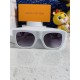 LV SUNGLASSES LV SUNGLASSES