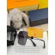 LV SUNGLASSES LV SUNGLASSES