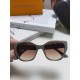 LV SUNGLASSES LV SUNGLASSES