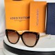 LV SUNGLASSES LV SUNGLASSES