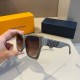 LV SUNGLASSES LV SUNGLASSES