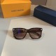 LV SUNGLASSES LV SUNGLASSES