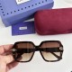 Gucci SUNGLASSES Gucci SUNGLASSES