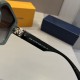 LV SUNGLASSES LV SUNGLASSES