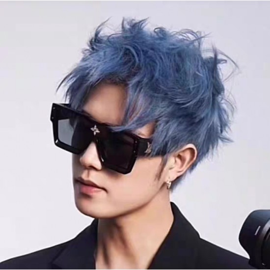 LV SUNGLASSES LV SUNGLASSES