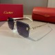 Cartier Sunglasses