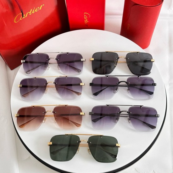 Cartier Sunglasses