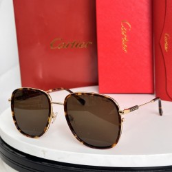 Cartier Sunglasses