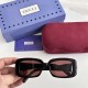 Gucci SUNGLASSES Gucci SUNGLASSES