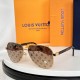 LV SUNGLASSES LV SUNGLASSES