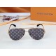 LV SUNGLASSES LV SUNGLASSES