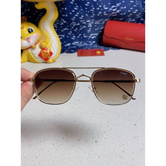 Cartier Sunglasses