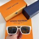LV SUNGLASSES LV SUNGLASSES
