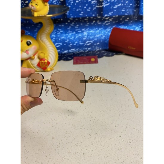 Cartier Sunglasses