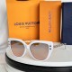 LV SUNGLASSES LV SUNGLASSES