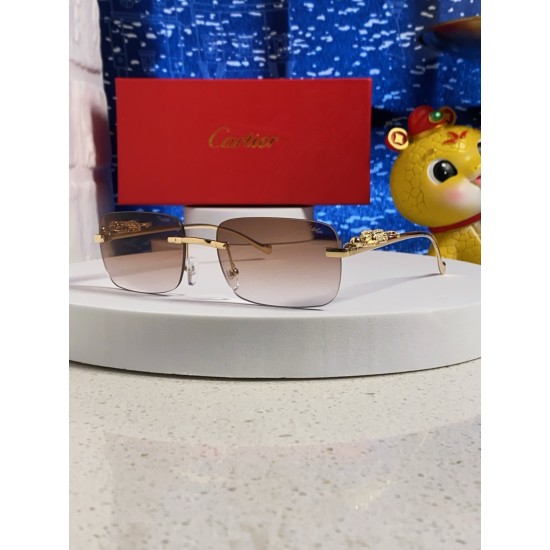 Cartier Sunglasses