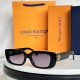 LV SUNGLASSES LV SUNGLASSES