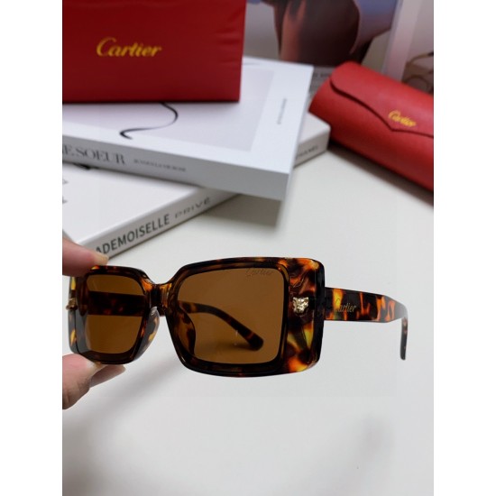 Cartier Sunglasses