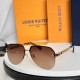 LV SUNGLASSES LV SUNGLASSES