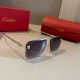 Cartier Sunglasses