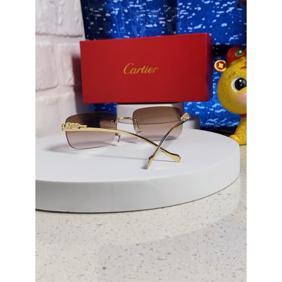 Cartier Sunglasses