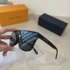 LV SUNGLASSES LV SUNGLASSES