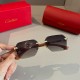 Cartier Sunglasses